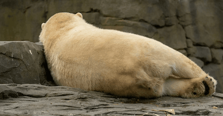 How to Improve Your Sleep Posture