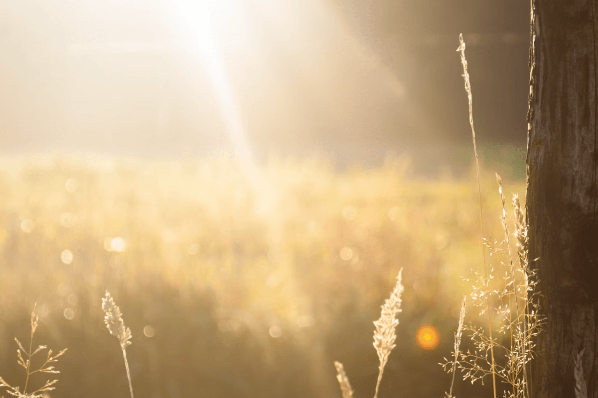 Health Coach Tip - Healthy Sun Exposure