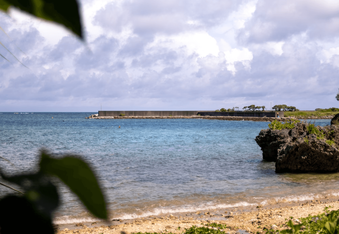 Mildly Tarnished Wisdom of the ‘Blue Zones’ and 5 Essential Longevity Lessons