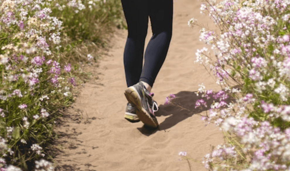 7 Life Saving Reasons to Walk More, and 10 Ways To Do It