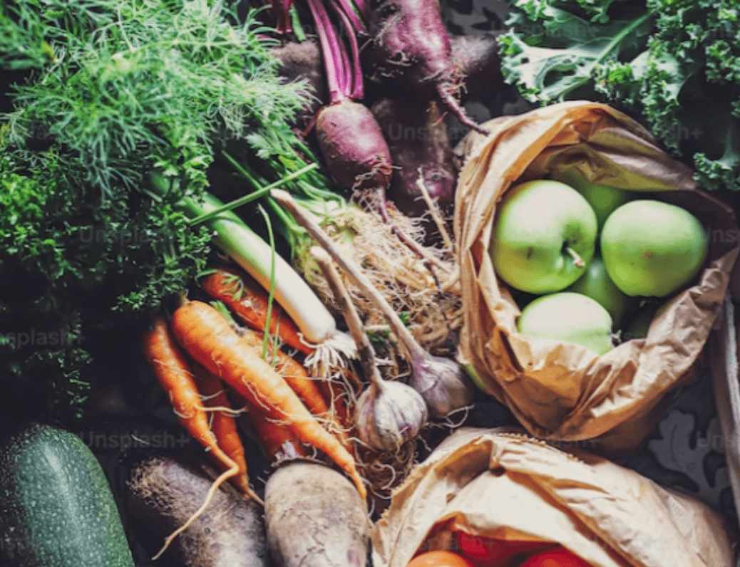 The Secret to Longevity: The Gut Microbiome