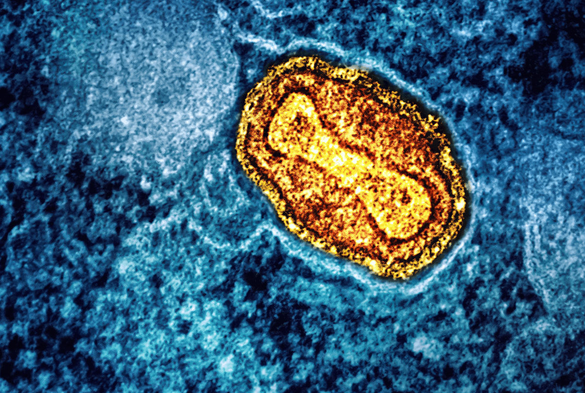 10 Smart Supplements to Preserve Your Mitochondria – and Your Energy Supply