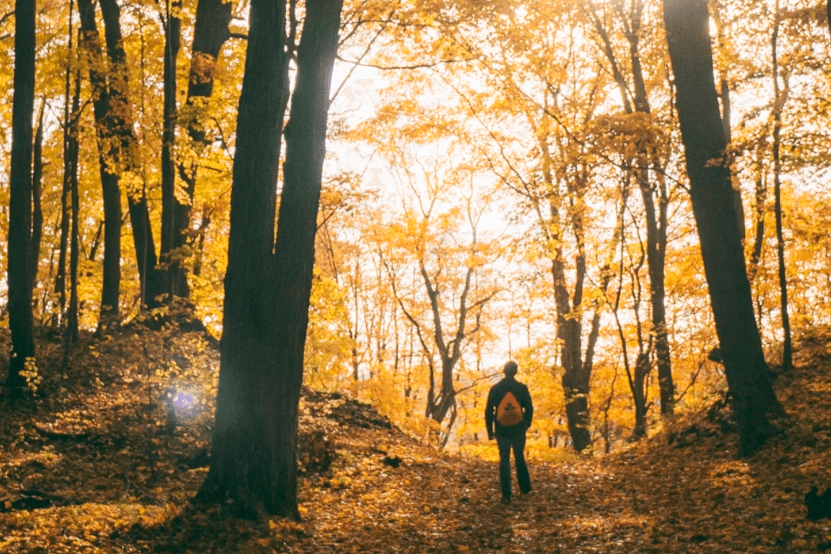 Health Coach Tip - Walking Mindfulness Exercise