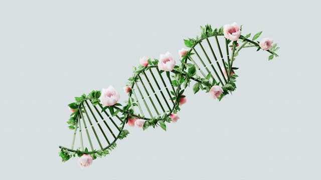 Beyond Resveratrol: The Surprising Second Act of Sirtuins