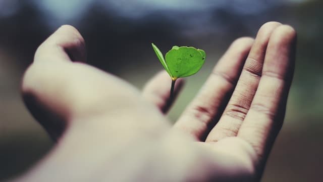 Meet the ‘Spans’: The Smarter Way to Push Back on Aging