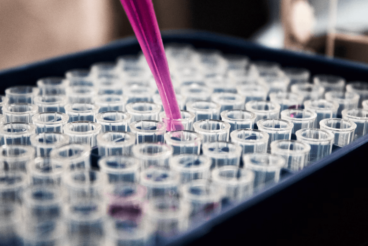 14 Articles on Anti-Aging and Longevity Therapies Driving Healthspan Innovation from 2024