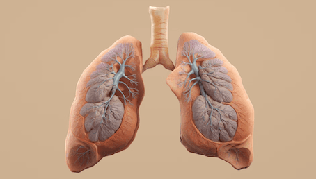 The Surprising Link Between Your Gut Microbiome and Respiratory Health