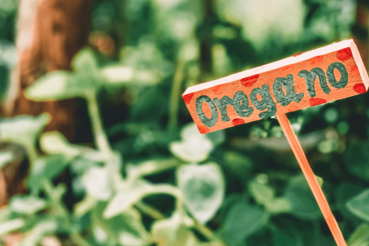 Tap Into the 7 Amazing Health-Saving Properties of Apigenin