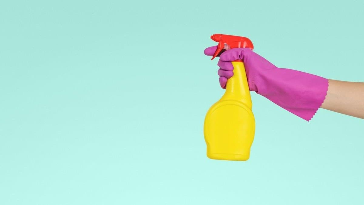 Clean-Up, Green-Up and Fight Your Indoor Air Pollution