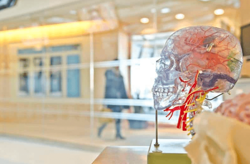 Can You Really Make Yourself Smarter? Biohacking Your Brain