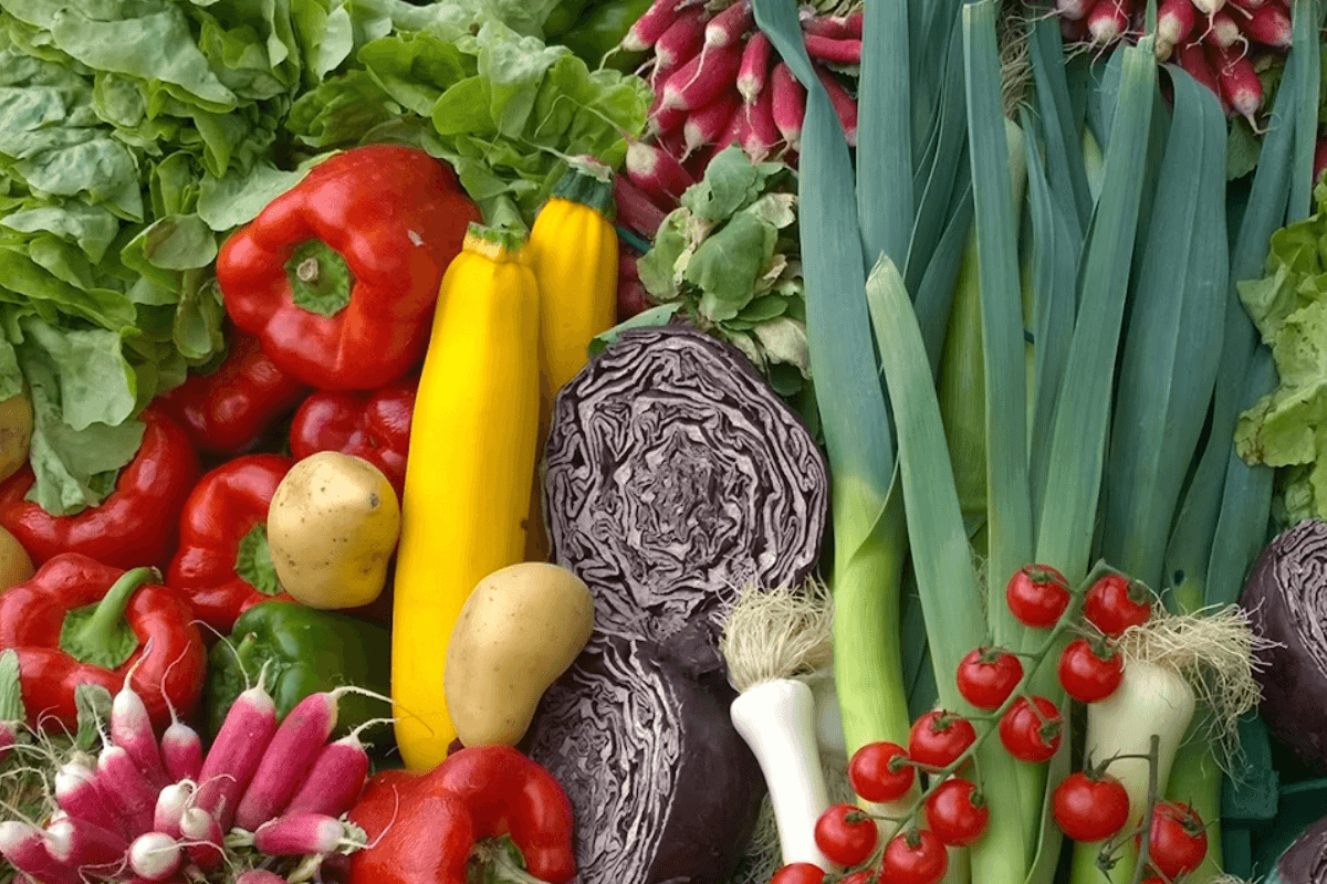 16 Ways to Turn Health Around With Bio-hacking