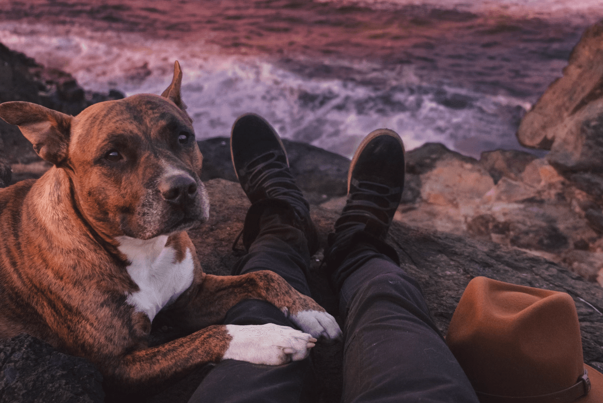 5 Signs You May Need a Recovery Day