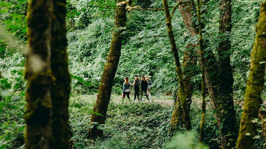 What "Counts" as Exercise? Here's What Science Has to Say