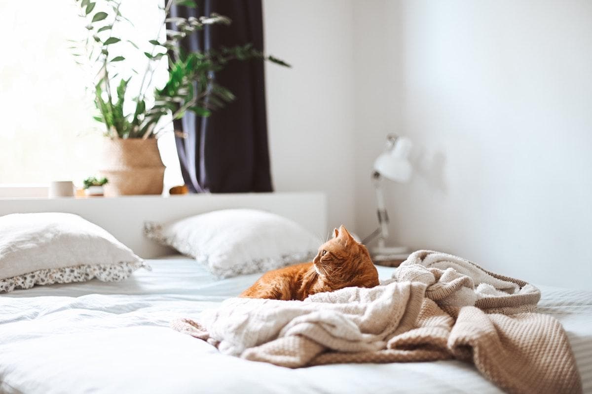 Health Coach Tip - Get to Bed