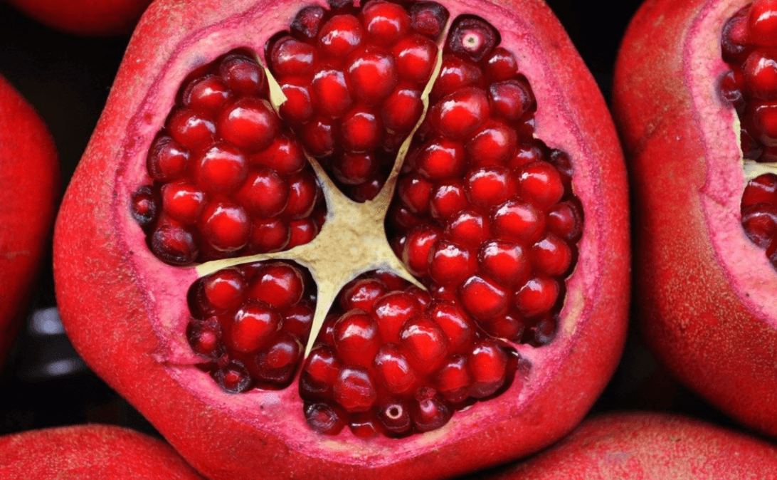 Health Coach Tip - The Benefits of Urolithin A