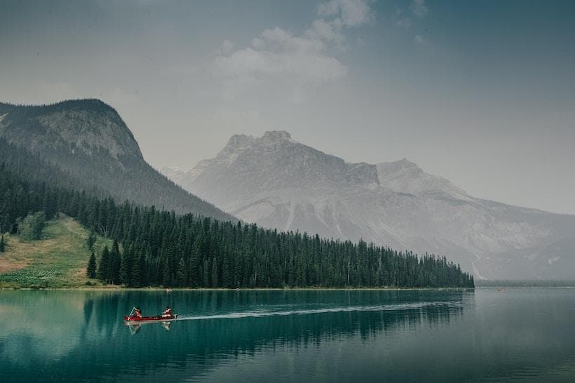 Go Wild – and Take the Medicine That’s Just Outside Your Door
