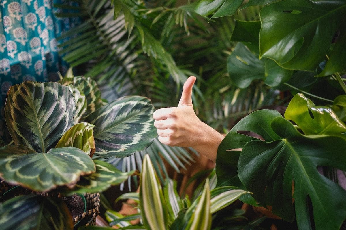 Drug-Free Ways to Fight Sinusitis – and Win!