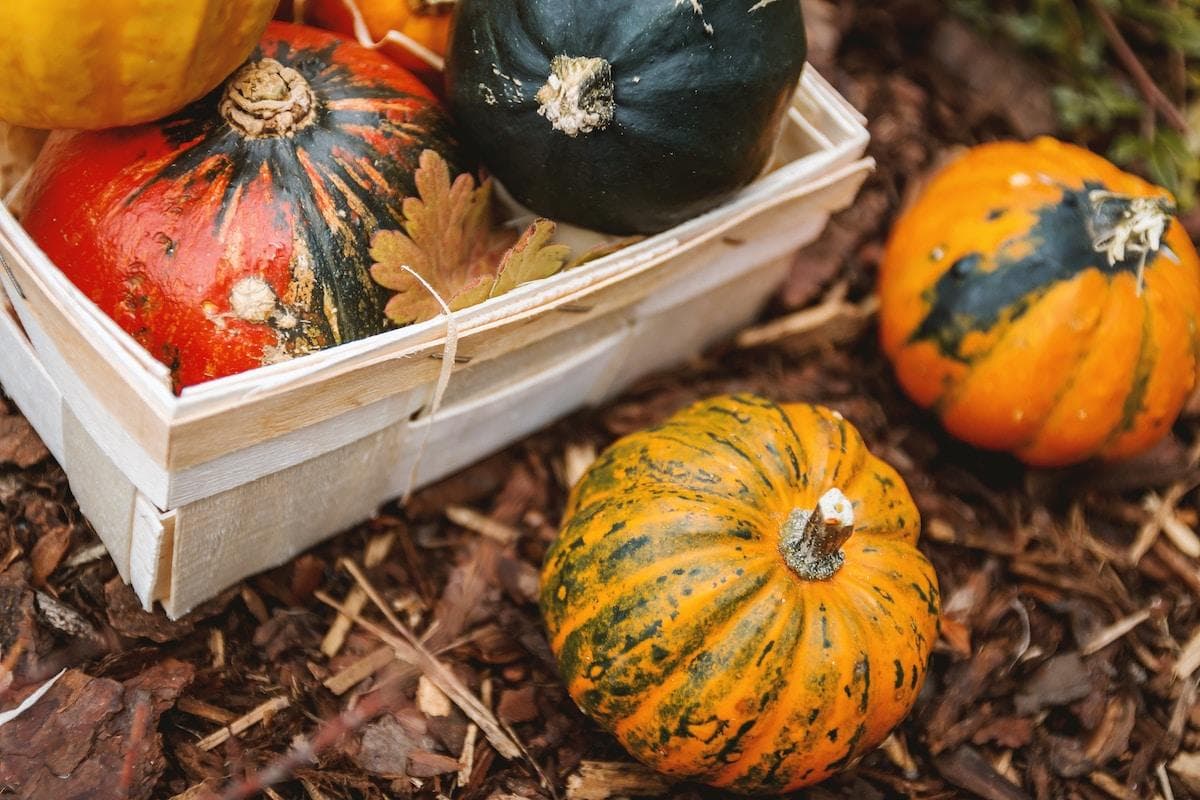 Health Coach Tip - Easy Winter Squash