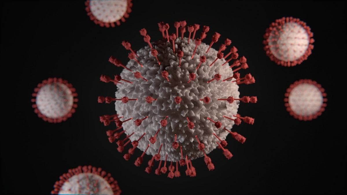 Weekly Roundup 6/14 – The Latest Informative Coronavirus News