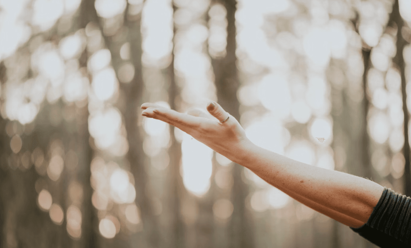 23 Wellness Wishes to Make this New Year Shine