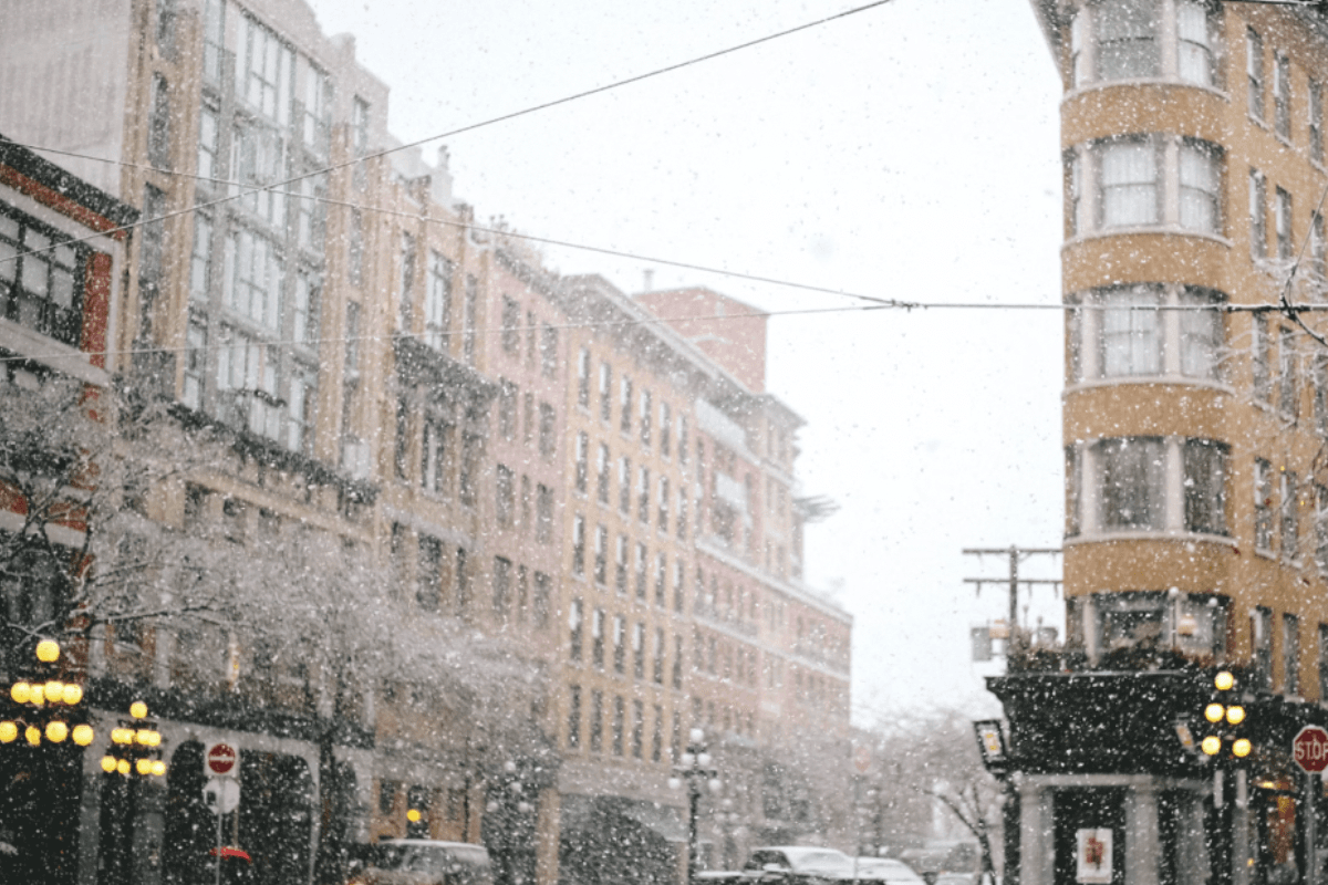 Dr. Frank’s Fall Fortification Plan: 19 Ways to Stop Winter Ills Before they Start