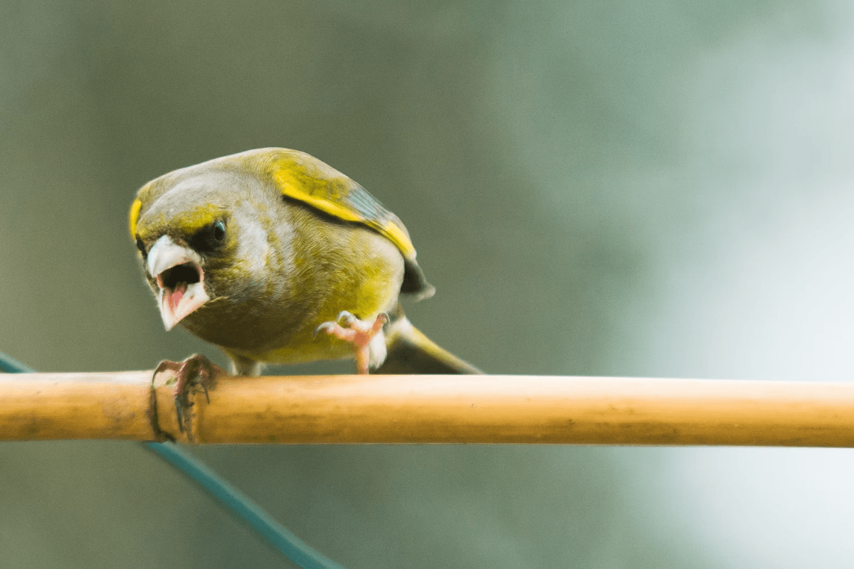 6 Ways Anger Torpedoes Your Immunity – and 7 Ways to Fix It