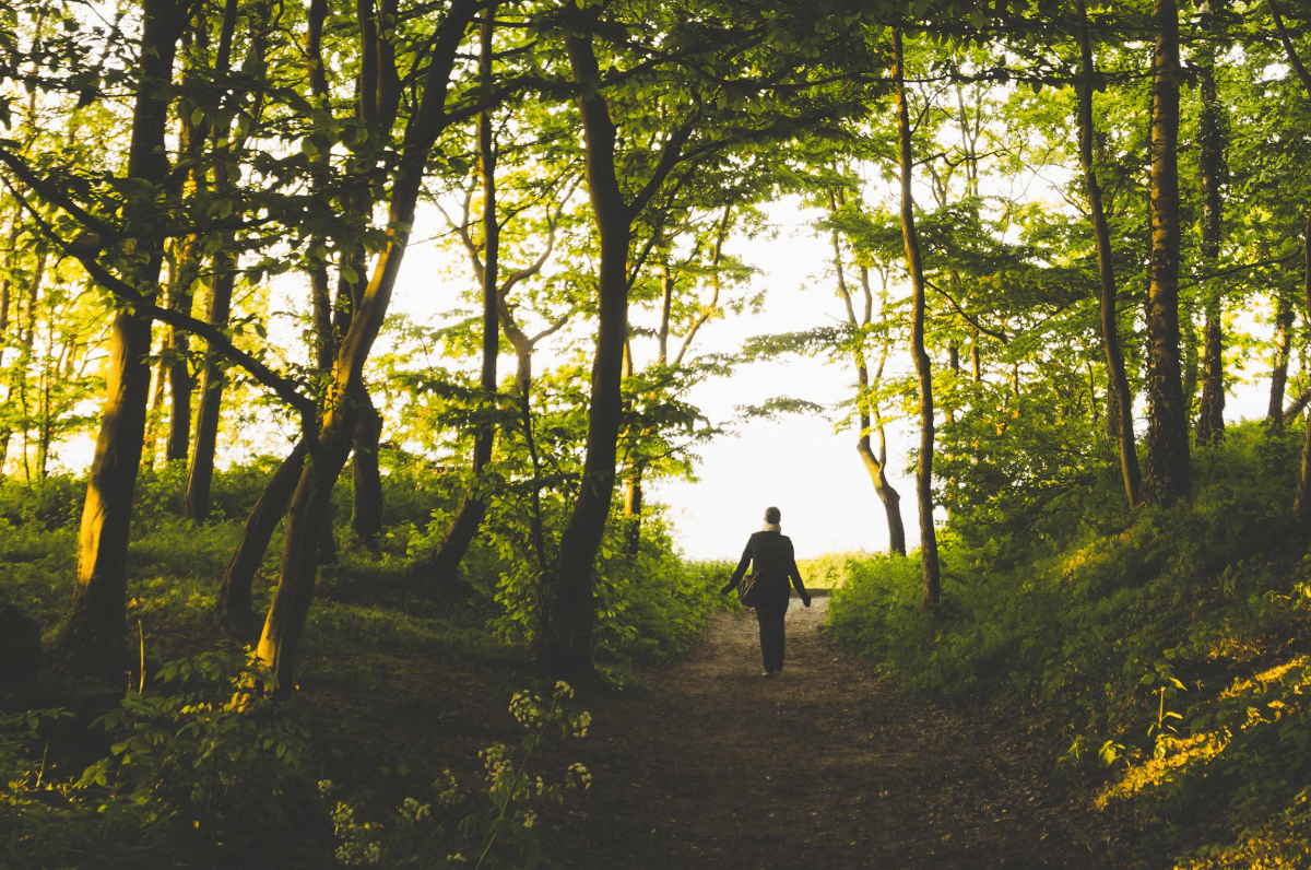 Aging Isn’t One-Size-Fits-All: Why Men and Women Take Different Roads to the Golden Years