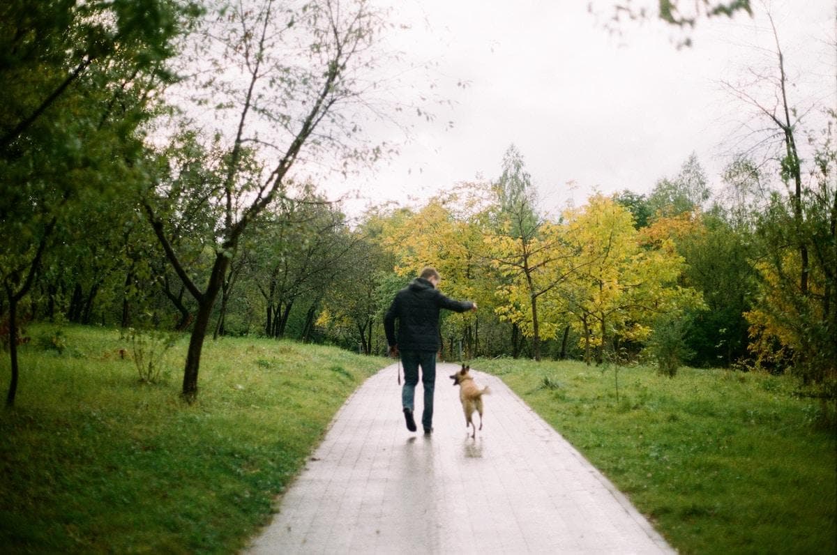The Powerful Health Benefits of Walking