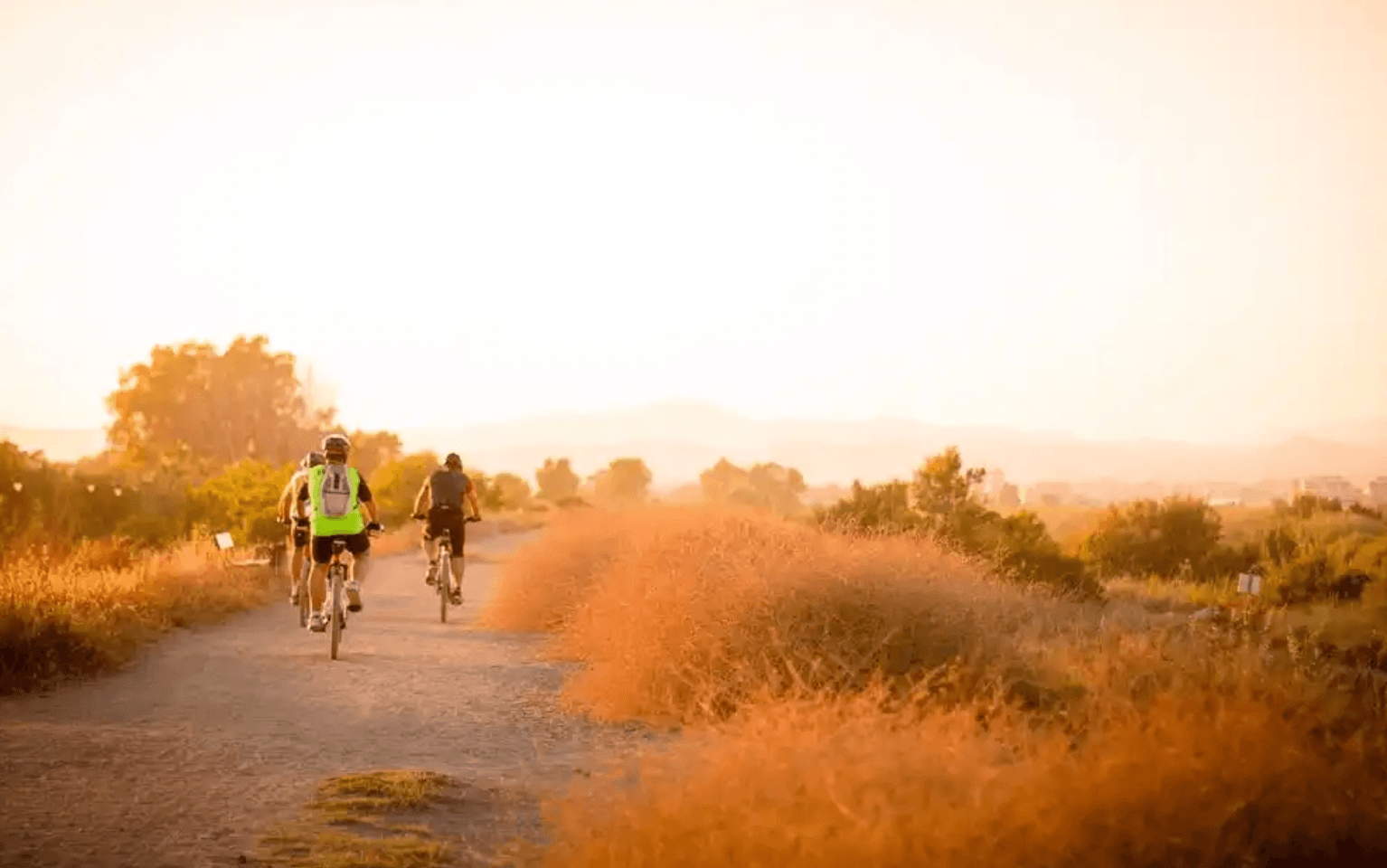 How Exercise Improves Your Immune Health
