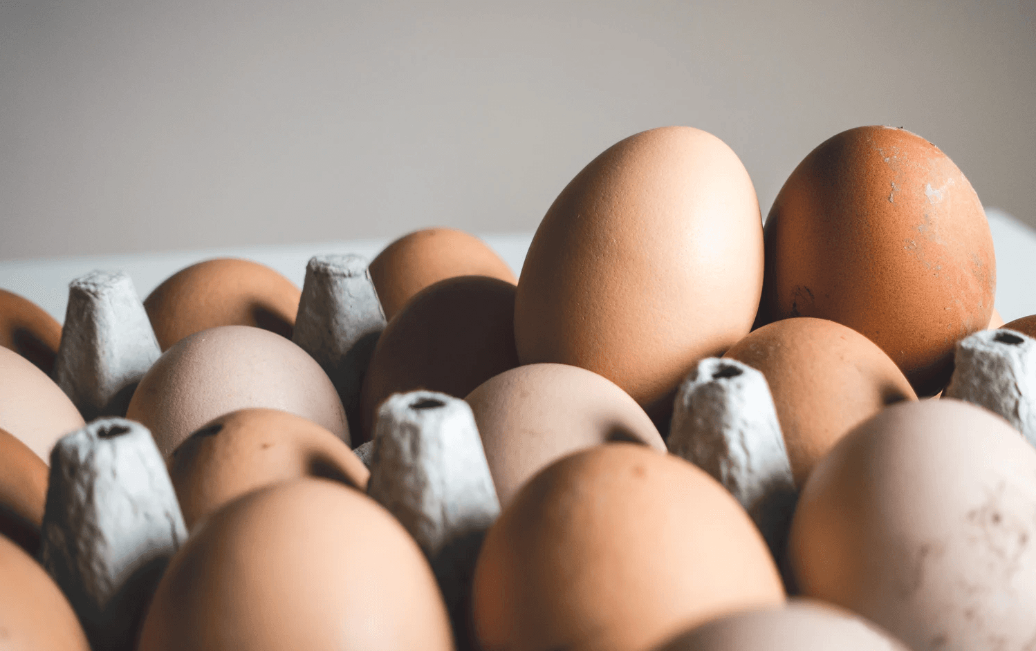 12 Clues To Help Decode Egg Carton Labels – And Get The Good Stuff!