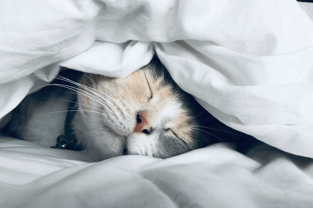 Why Quality Sleep Matters — and What to Do When You’re Not Getting It