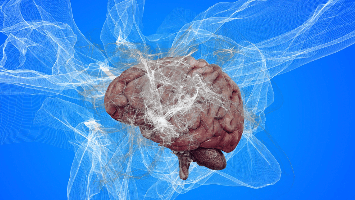 Better Brain Function for Life? Parsing the Promise of Plasmalogens