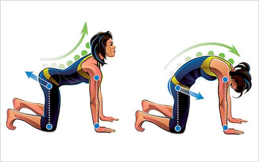 Stretch Yourself Strong