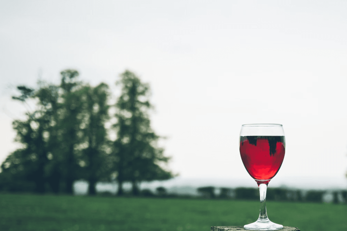 How Does Drinking Alcohol Affect My Gut Microbiome?