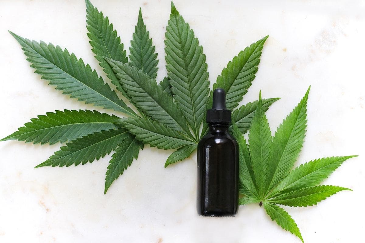 Not Your Grandpa’s Weed: The Ways CBD Supports Your Health