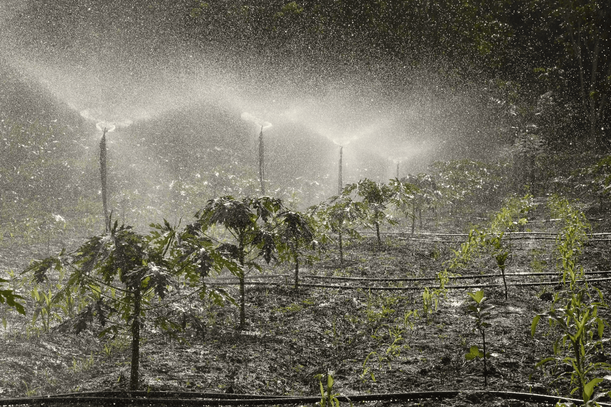 10 Ways to Keep Weed Killer Glyphosate Out of Your Body
