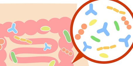 Give Your Gut a Break: The Science of Fasting and the Microbiome
