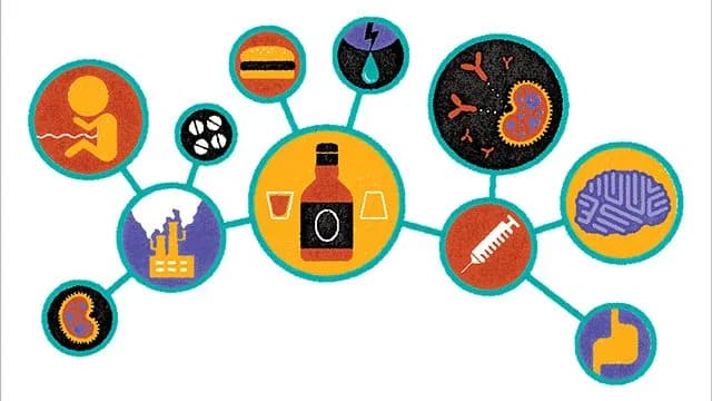 Autoimmune Disorders: When Your Body Turns on You