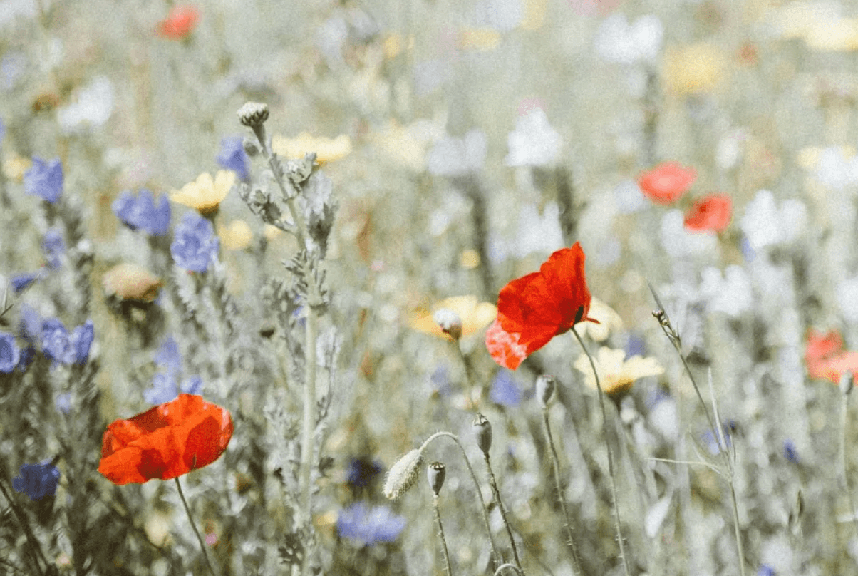 Unlocking Relief: A Functional Medicine Approach to PMS