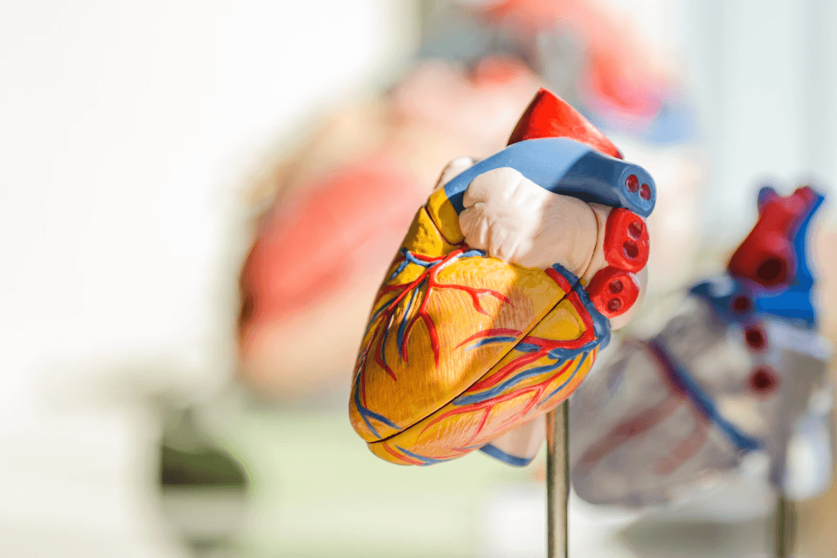 Two Heart Tests You May Need — But Don’t Know About