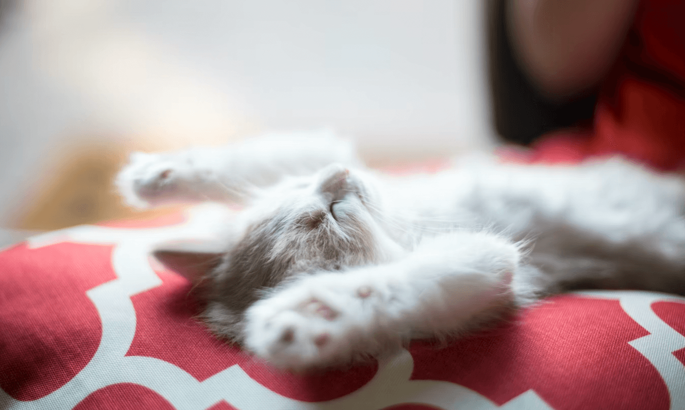 9 Ways Your Sleep Position Can Help – or Harm – Your Health