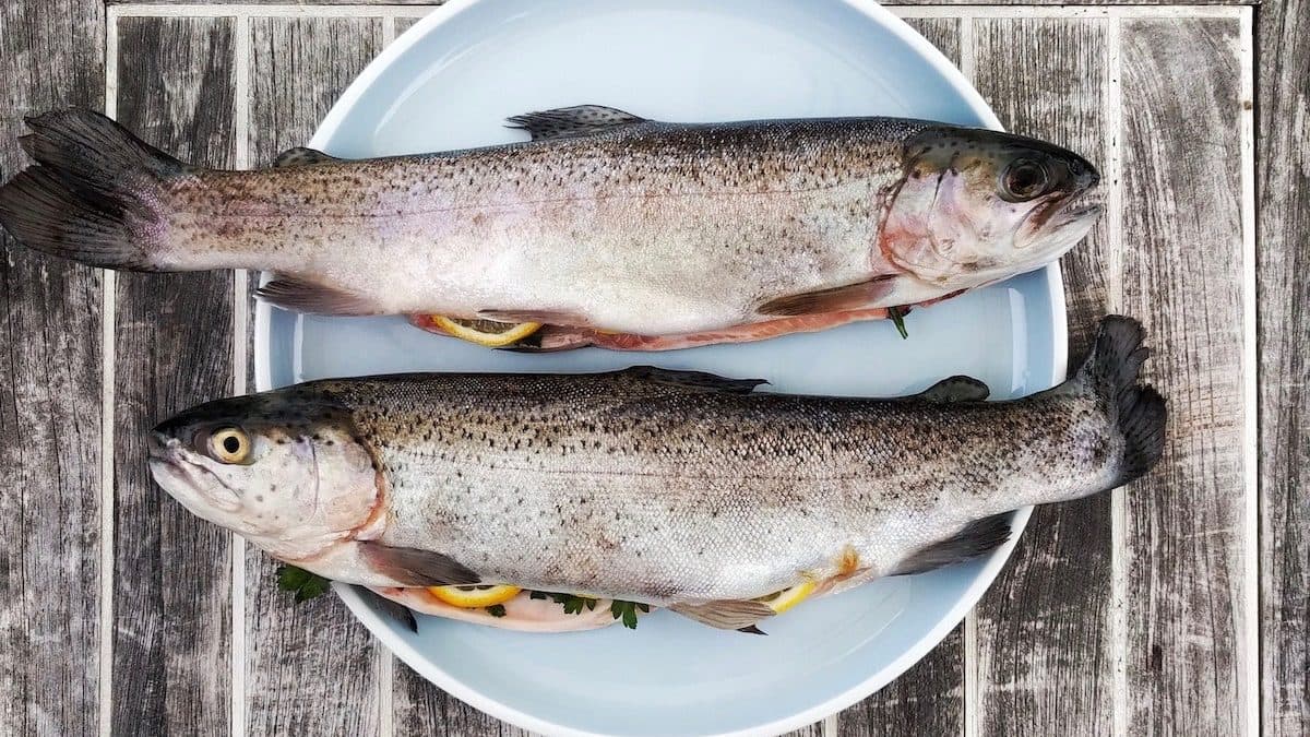 5 Ways to Eat Healthy Fish Wisely and Eco-Consciously