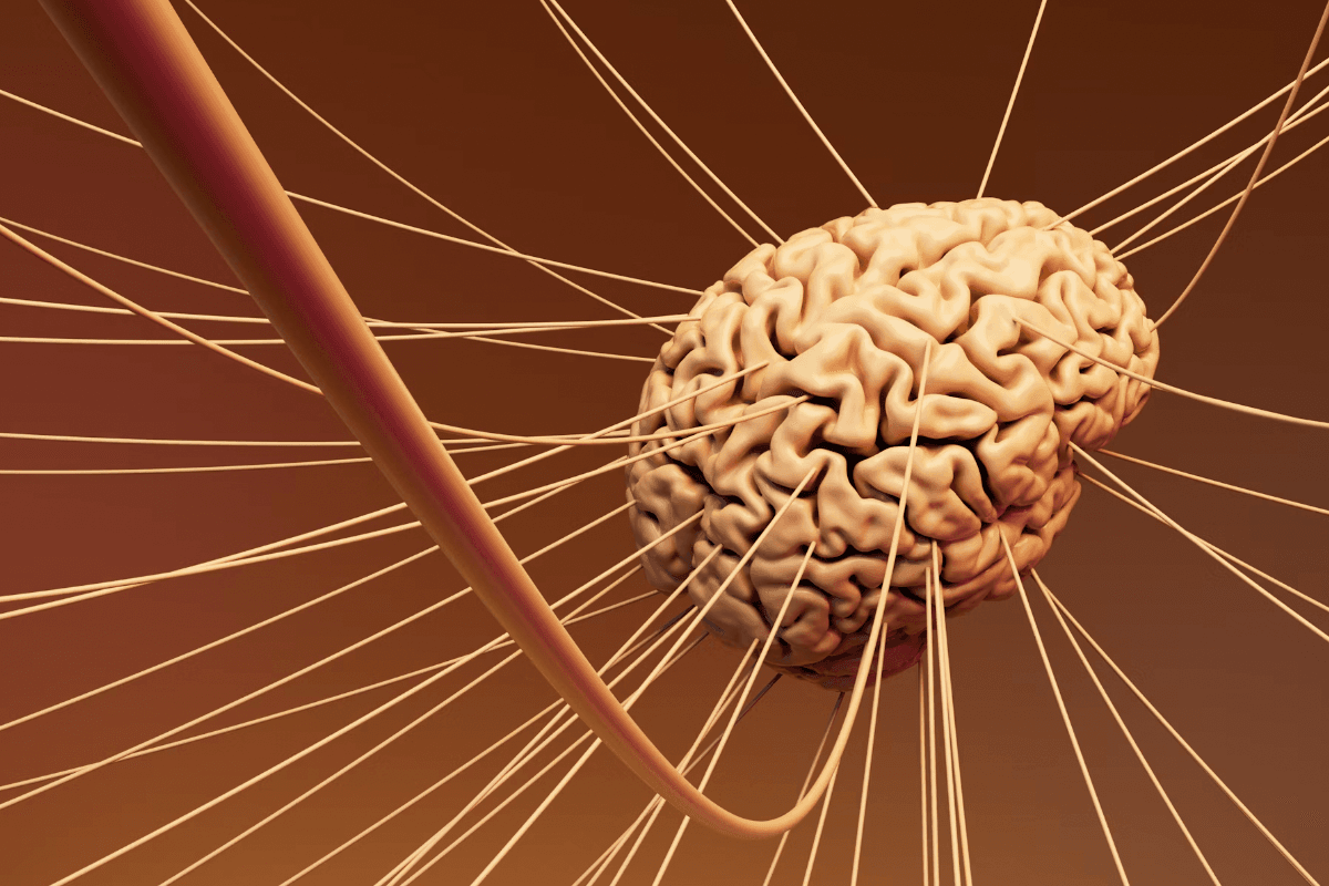 7 Do-Right-Now, High and Low Tech Ways to Avoid Alzheimer’s and Dementia