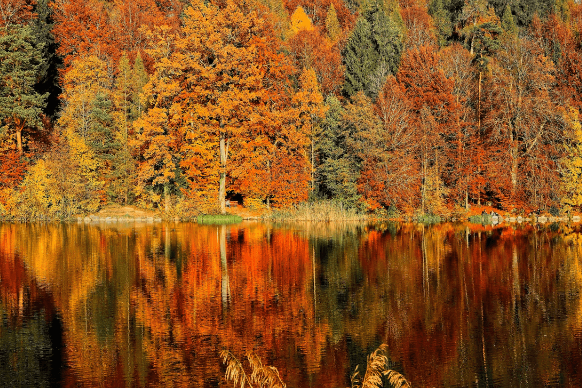Health Coach Tip - Stay Healthy Through Fall