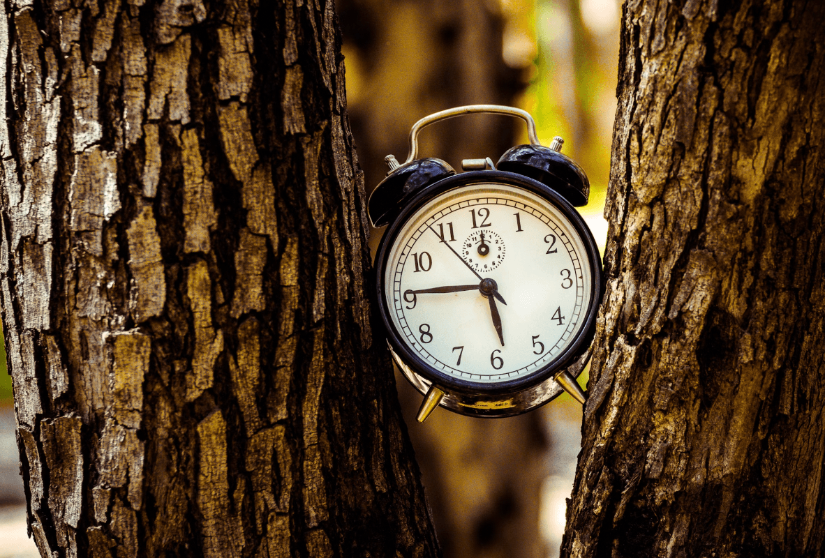 8 Circadian Rhythm Tune-Up Tips to Help Slow Aging