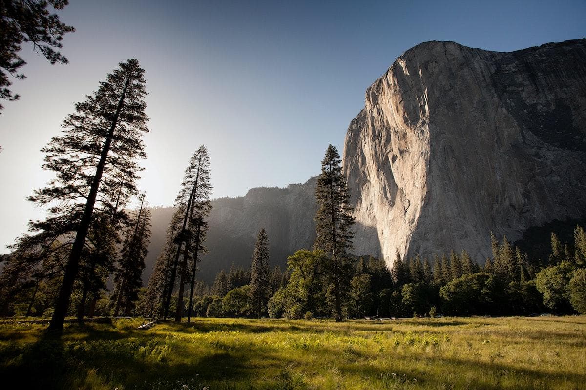 Time in Nature – The Medicine Everyone Needs Now!