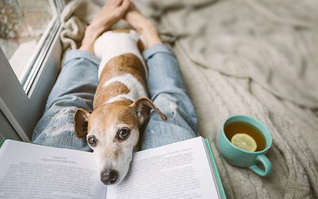 12 Strategies for Self-Care While Social Distancing