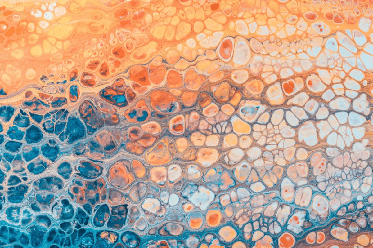 Unlocking Longevity: Delving into the Final 3 Hallmarks of Aging (Part 4)