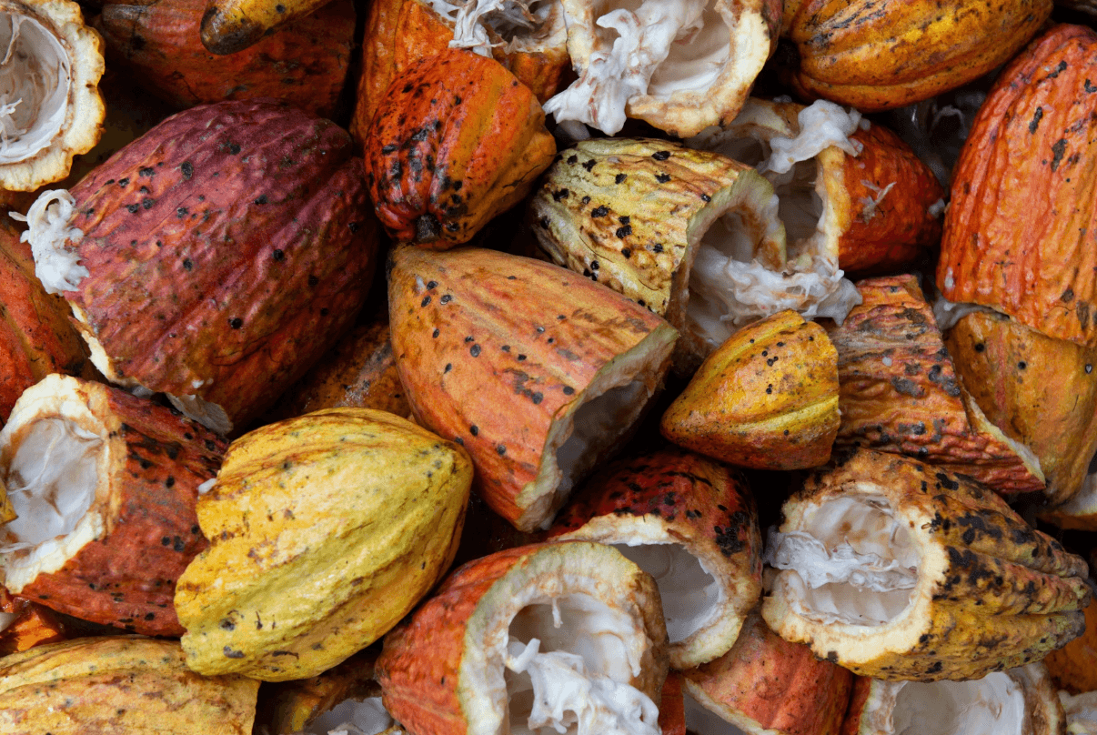 Health Coach Tip - Why Cacao?
