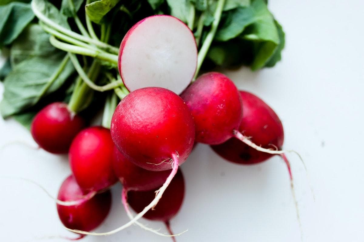 5 Ways the Gut Strengthens Immunity and Wellbeing